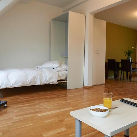 בזל Residence Apartments By Hotel Du Commerce מראה חיצוני תמונה