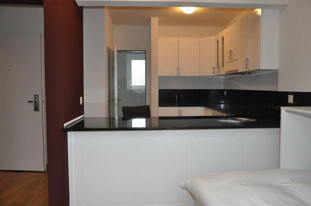 בזל Residence Apartments By Hotel Du Commerce מראה חיצוני תמונה